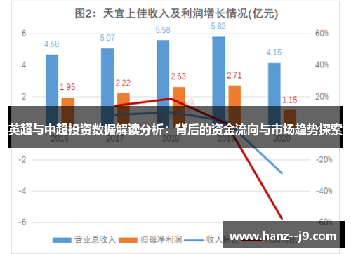 英超与中超投资数据解读分析：背后的资金流向与市场趋势探索